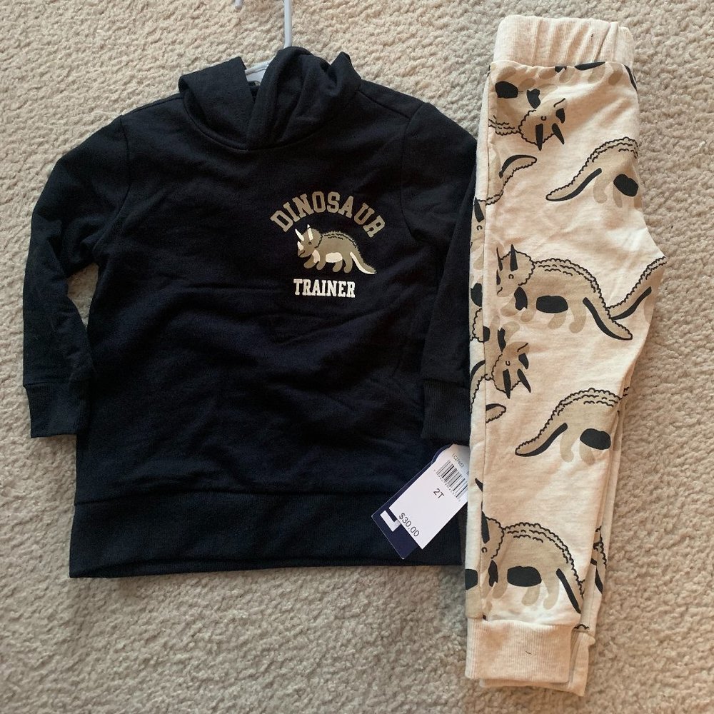 Brand New! Boys Dino outfit